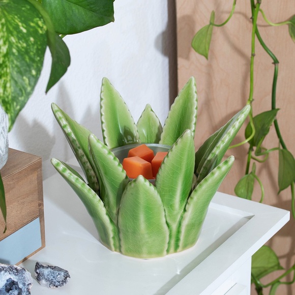 Scentsy Aloe Vera Warmer Succulent Wax Warmer - Picture 1 of 13